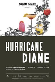 HURRICANE DIANE show poster