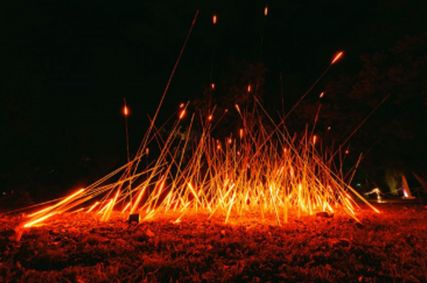 Lightscape at Brooklyn Botanic Garden show poster