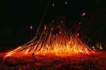 Lightscape at Brooklyn Botanic Garden