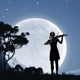 Beethoven Symphony No. 5 and Works by Mozart & Haydn show poster