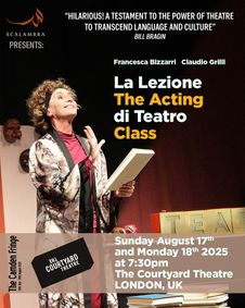 La Lezione di Teatro / The Acting show poster