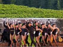 Broadway Under the Stars - Stairway to Paradise