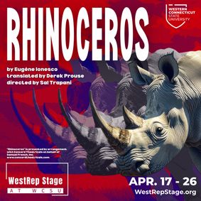Rhinoceros show poster