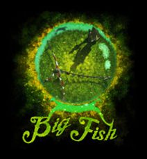 Big Fish