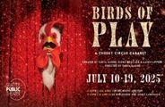 Birds of Play in Seattle