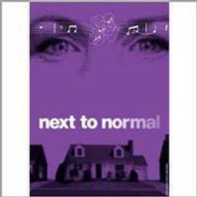 Next to Normal show poster