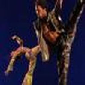 Lula Washington: Ode to the 60s show poster