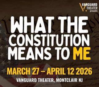 What The Constitution Means to Me show poster