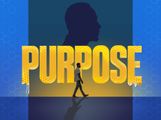 Purpose in San Diego