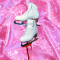 Dear Michelle Kwan in Off-Off-Broadway