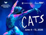 Cats in Indianapolis