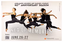 40th Anniversary Concert Sea of Memories