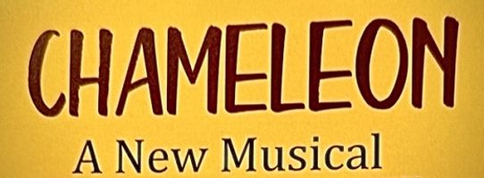 Chameleon - A New Musical