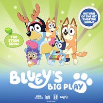 Bluey's Big Play