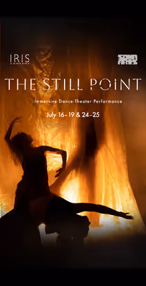 The Still Point: An Immersive Experience