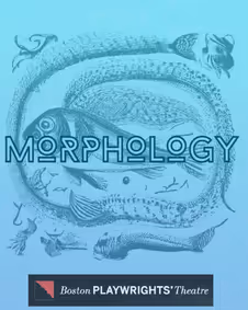 Morphology show poster