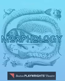 Morphology
