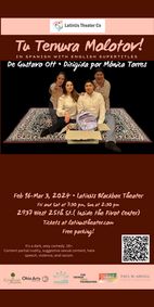 Tú Ternura Molotov show poster