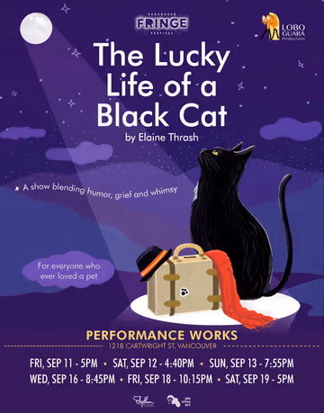 The Lucky Life of a Black Cat StageMag