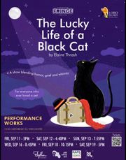 The Lucky Life of a Black Cat StageMag