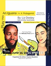 This Play Has An Iguana for a Protagonist by Liz Dooley StageMag