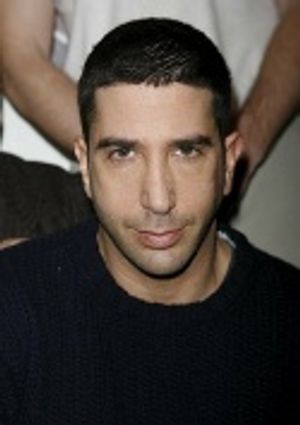 David Schwimmer Photo