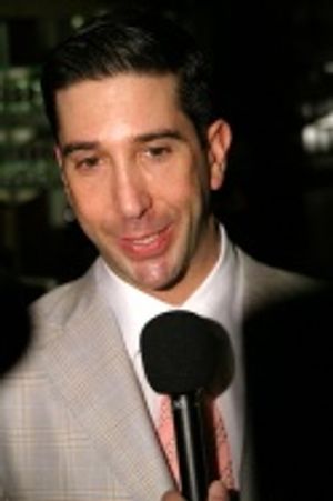 David Schwimmer Photo