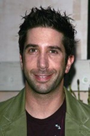 David Schwimmer Photo
