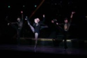 Charlotte D'Amboise Photo