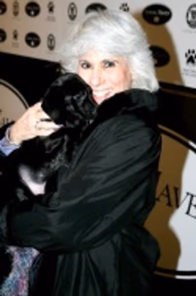 Jamie DeRoy Photo