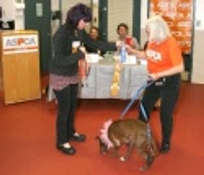 Victoria Wells of the ASPCA hands out the first prize ribbon and medal Photo
