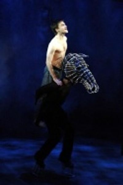 Daniel Radcliffe Photo