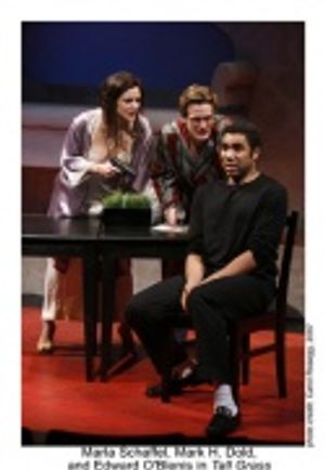 Marla Schaffel, Mark H. Dold, and Edward O'Blenis in 'Tall Grass' Photo