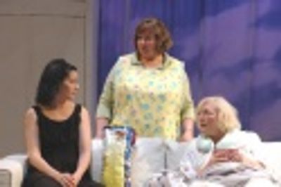 Angela Brazil, Janice Duclos as Virginia and Cynthia Strickland Photo