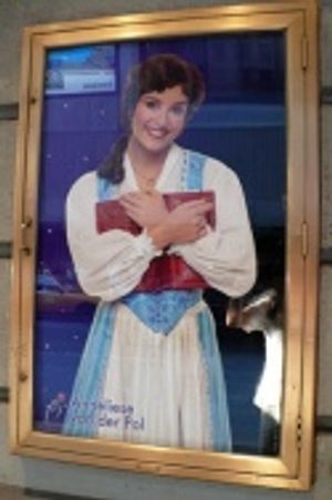 Anneliese van der Pol Photo