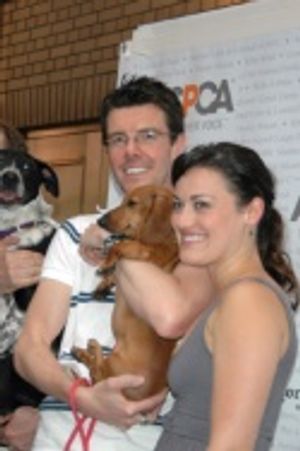 Gavin Lee and Ashley Brown Photo