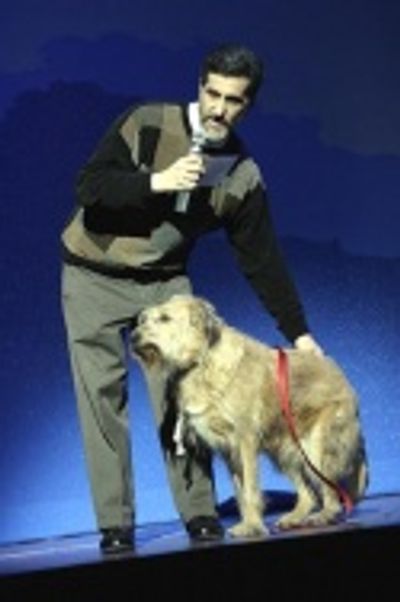 The Chitty Dogs with Dog Trainer Bill Berloni Photo