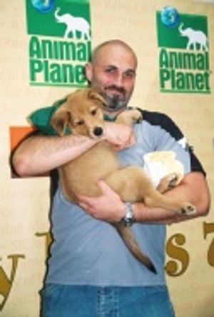 Marc Kudisch (Chitty Chitty Bang Bang) 
 Photo