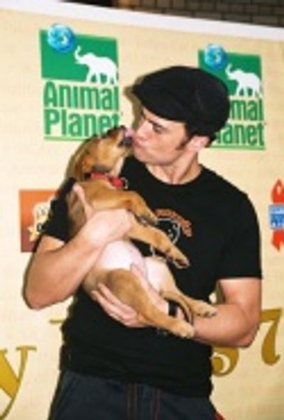 Cheyenne Jackson (All Shook Up)

  Photo