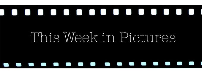 This Week in Pictures...
