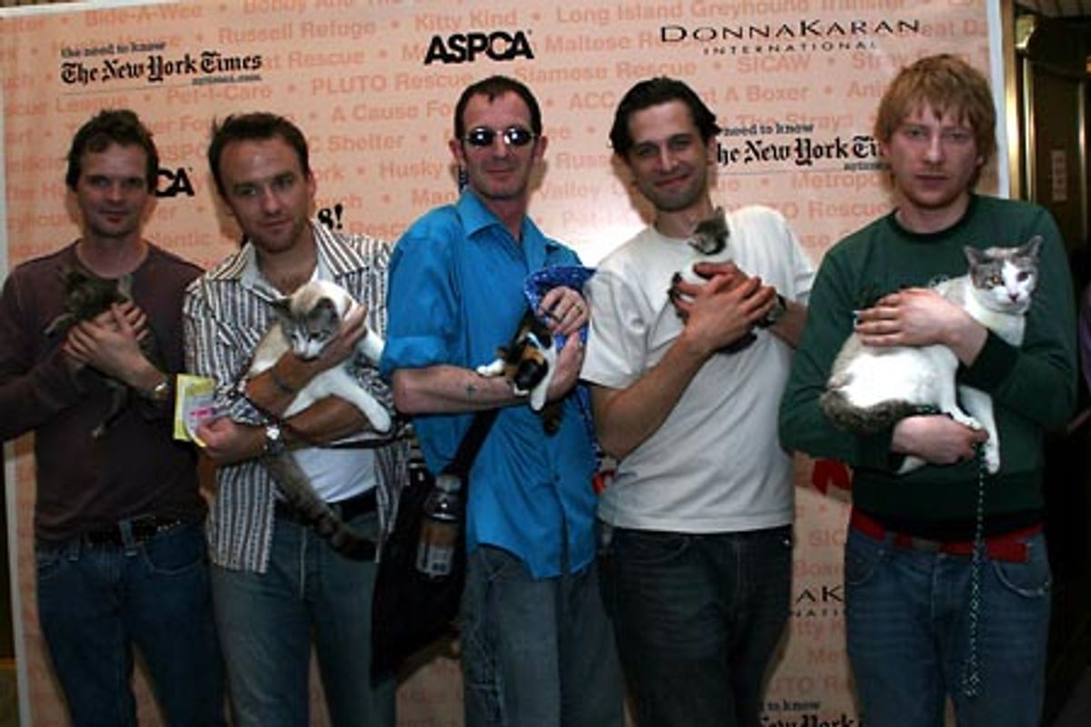 The Lieutenant of Inishmore: Dashiell Eaves, Jeff Binder, Andrew Connolly, Brian Avers and Domhnall Gleeson at 