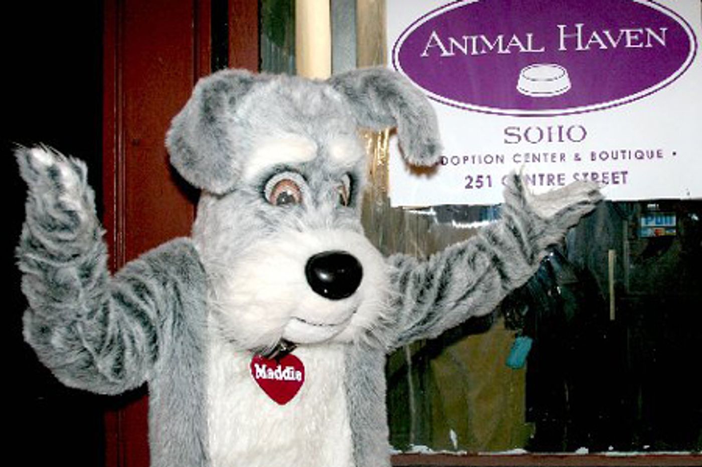 Photo Coverage: Animal Haven Soho Reception Photo Coverage: Animal Haven Soho Reception Image