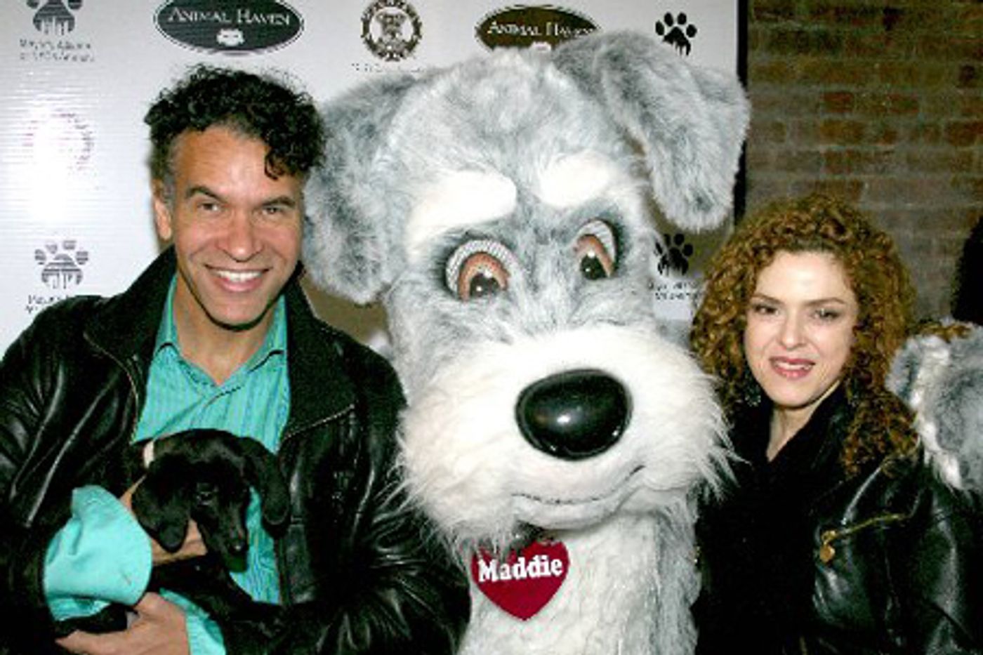 Photo Coverage: Animal Haven Soho Reception Photo Coverage: Animal Haven Soho Reception Image