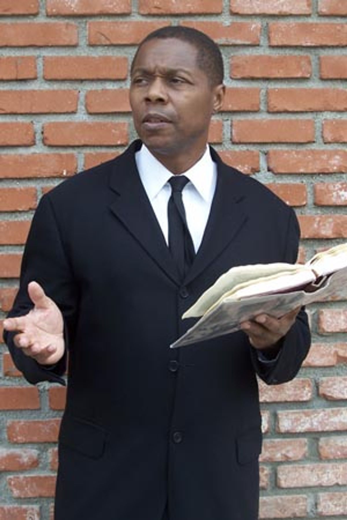 Calvin Levels at James Baldwin: Down from the Mountaintop