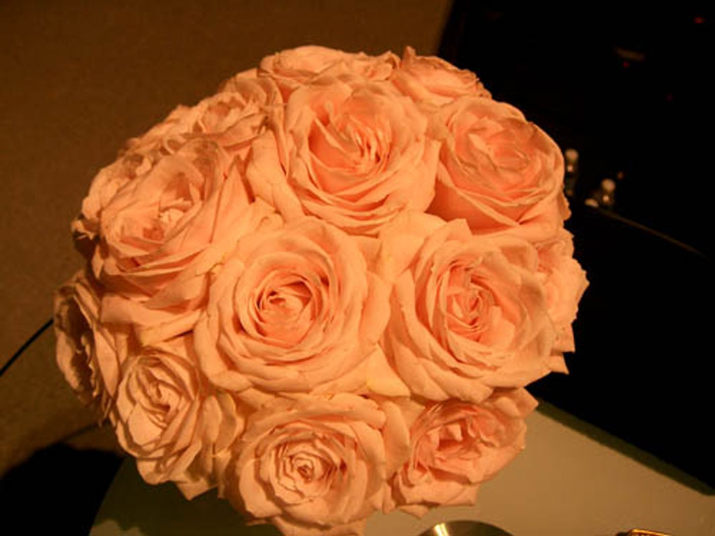 BWW Exclusive: Barbra Streisand European Tour 2007 Scrapbook  Image