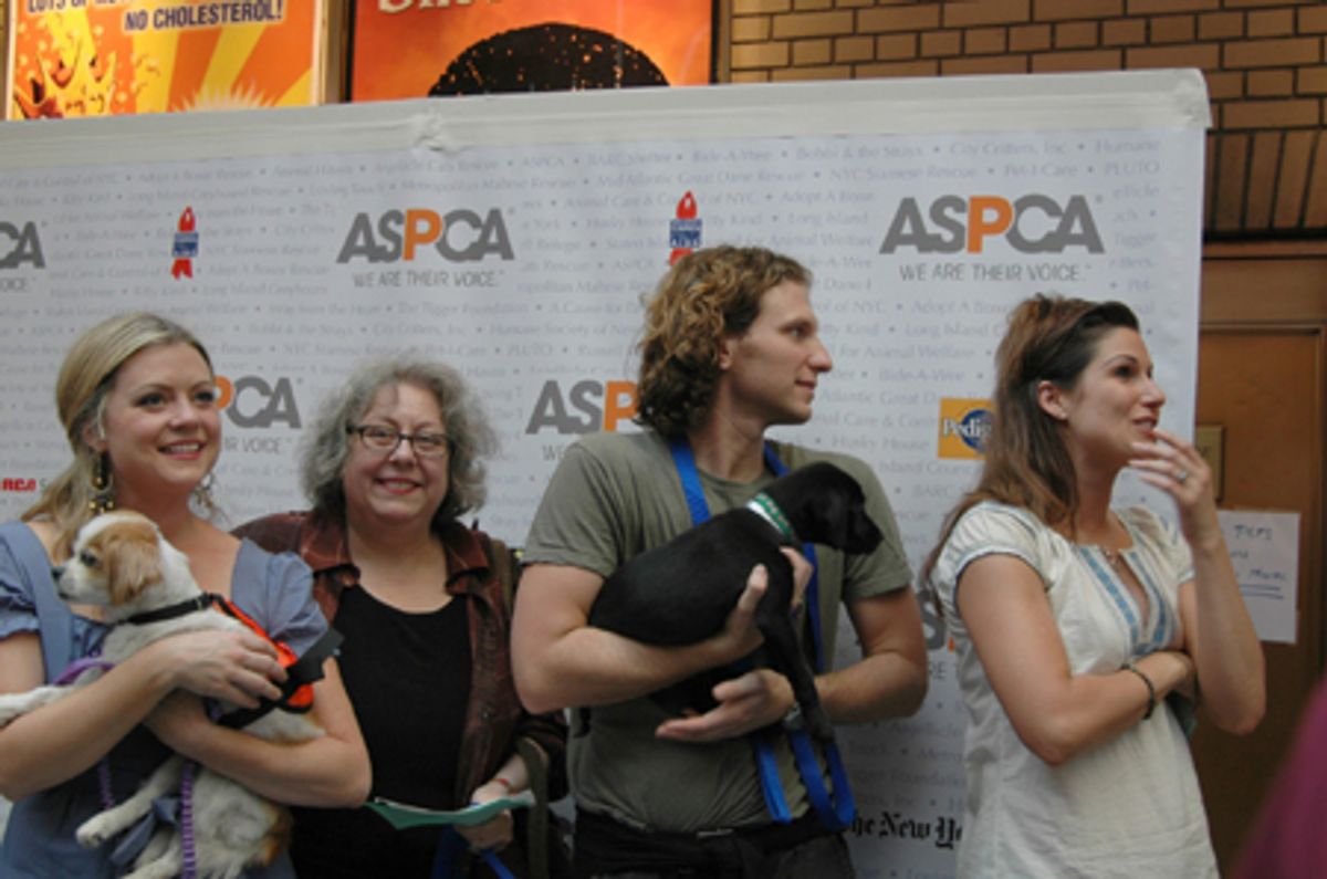 The Pirate Queen and Wicked - Kendra Kassebaum, Jayne Houdyshell, Sebastian Arcelus and Stephanie J. Block at 