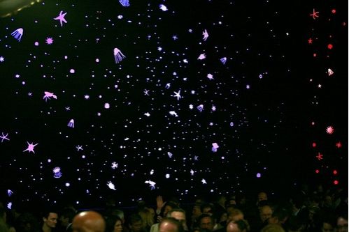 Photo Coverage: 'The Little Mermaid' Opening Night Curtain Call & Party — photo 1 of 70