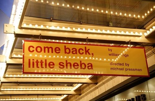 Photos: 'Come Back, Little Sheba' Opening Night Arrivals — photo 2 of 49