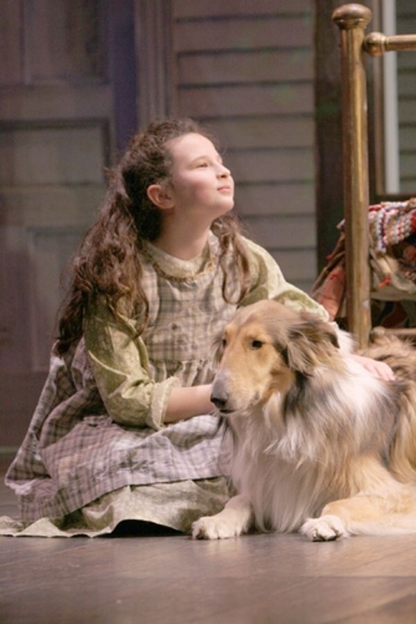 Meredith Lipson and Argyle (Belle) 

 Photo