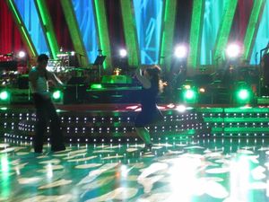 Marissa Jaret Winokur and Tony Dovolani Photo